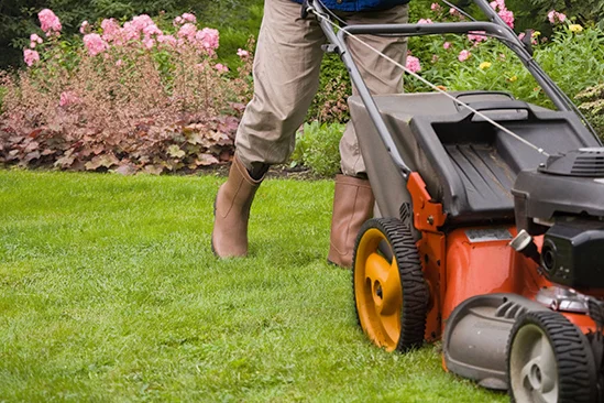 Person mäht Rasen mit Rasenmäher